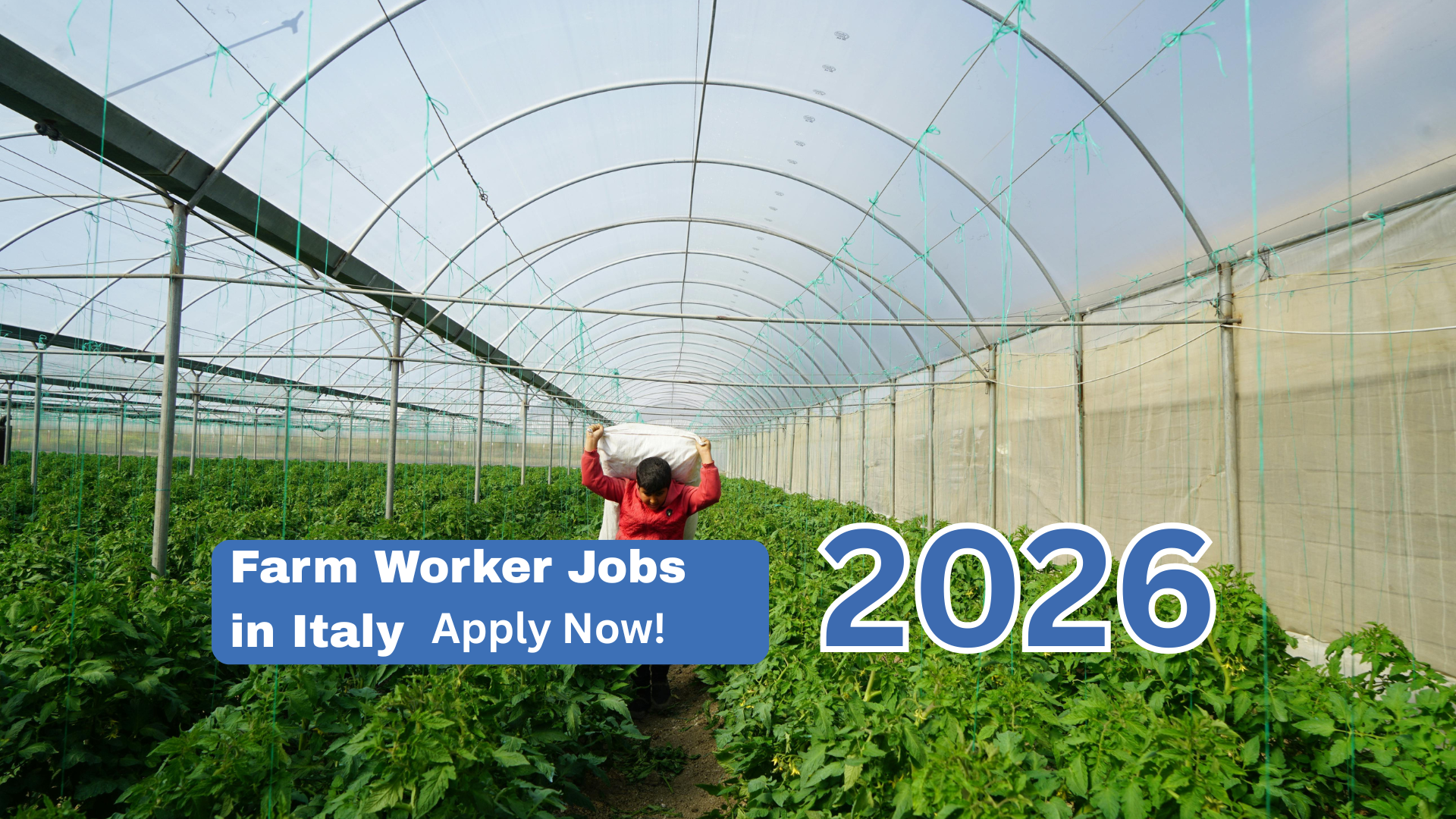 Farm Worker Jobs in Italy 2026